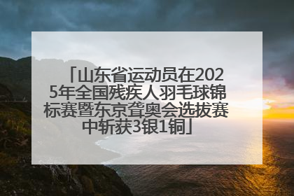 山东省运动员在2025年全国残疾人羽毛球锦标赛暨东京聋奥会选拔赛中斩获3银1铜