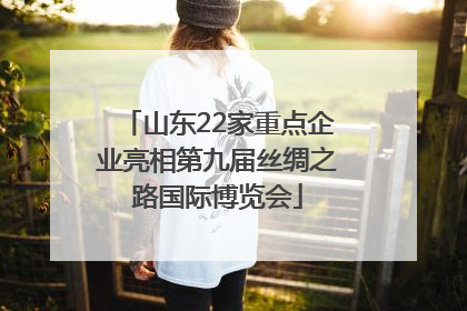 山东22家重点企业亮相第九届丝绸之路国际博览会