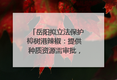 岳阳拟立法保护樟树港辣椒：提供种质资源需审批，违规最高罚5万