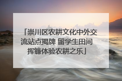 崇川区农耕文化中外交流站点揭牌 留学生田间挥镰体验农耕之乐