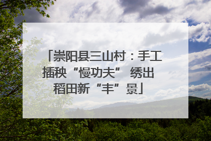 崇阳县三山村：手工插秧“慢功夫” 绣出稻田新“丰”景