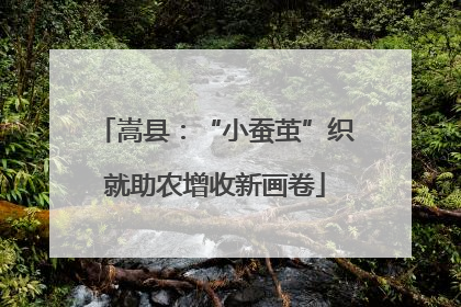 嵩县：“小蚕茧”织就助农增收新画卷