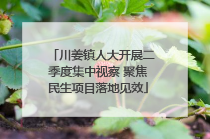 川姜镇人大开展二季度集中视察 聚焦民生项目落地见效