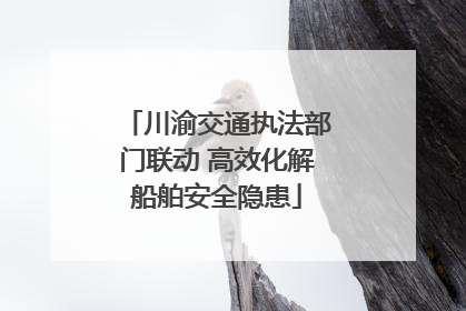 川渝交通执法部门联动 高效化解船舶安全隐患