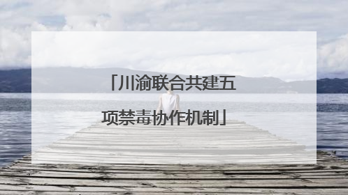川渝联合共建五项禁毒协作机制