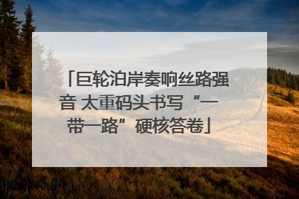 巨轮泊岸奏响丝路强音 太重码头书写“一带一路”硬核答卷