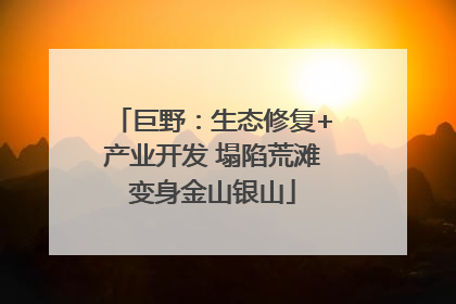 巨野：生态修复+产业开发 塌陷荒滩变身金山银山