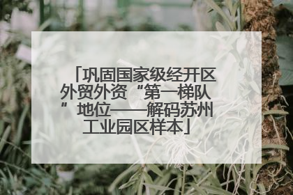 巩固国家级经开区外贸外资“第一梯队”地位——解码苏州工业园区样本