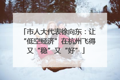 市人大代表徐向东：让“低空经济”在杭州飞得又“稳”又“好”