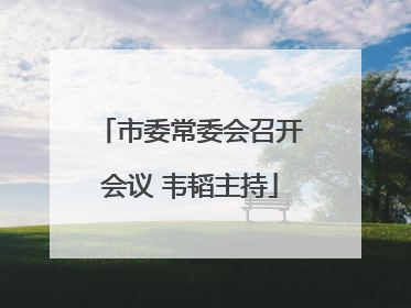 市委常委会召开会议 韦韬主持