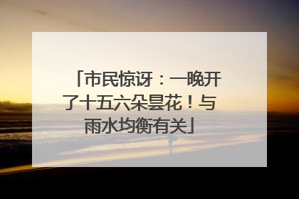 市民惊讶：一晚开了十五六朵昙花！与雨水均衡有关