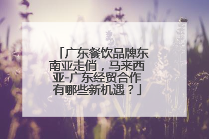 广东餐饮品牌东南亚走俏，马来西亚-广东经贸合作有哪些新机遇？