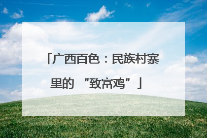 广西百色：民族村寨里的 “致富鸡”
