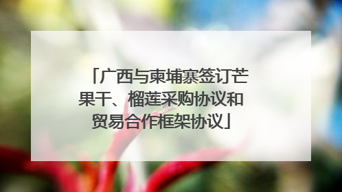 广西与柬埔寨签订芒果干、榴莲采购协议和贸易合作框架协议