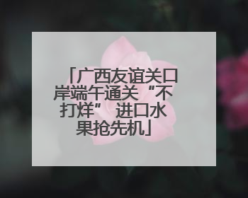 广西友谊关口岸端午通关“不打烊” 进口水果抢先机