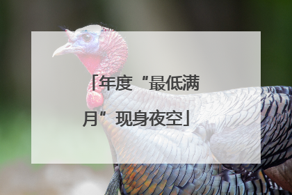 年度“最低满月”现身夜空