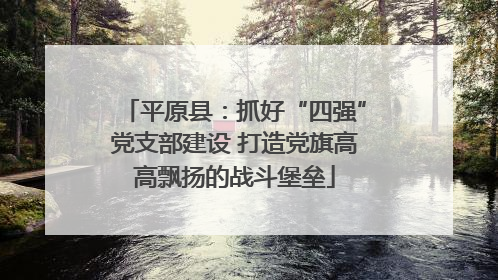 平原县：抓好“四强”党支部建设 打造党旗高高飘扬的战斗堡垒