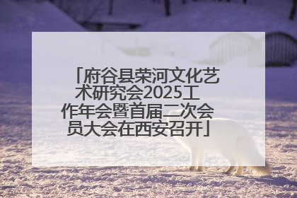府谷县荣河文化艺术研究会2025工作年会暨首届二次会员大会在西安召开