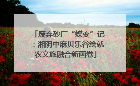 废弃砂厂“蝶变”记：湘阴中麻贝乐谷绘就农文旅融合新画卷