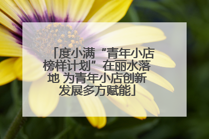 度小满“青年小店榜样计划”在丽水落地 为青年小店创新发展多方赋能