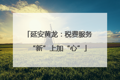 延安黄龙：税费服务“新”上加“心”