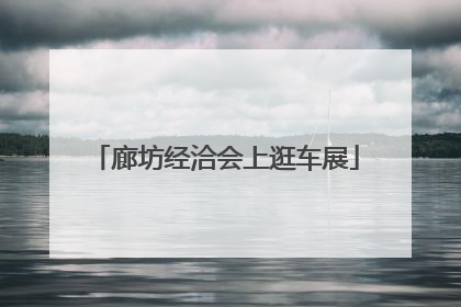 廊坊经洽会上逛车展