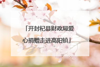 开封杞县财政局爱心捐赠走进高阳镇