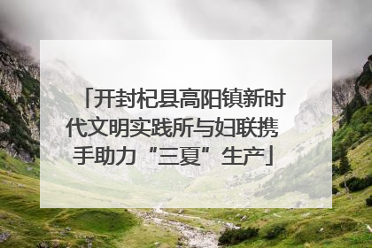 开封杞县高阳镇新时代文明实践所与妇联携手助力“三夏”生产