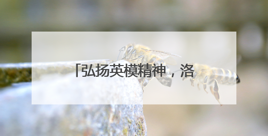 弘扬英模精神，洛阳公安举办“最美基层民警”宣讲活动