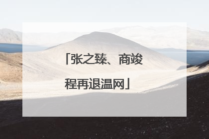 张之臻、商竣程再退温网
