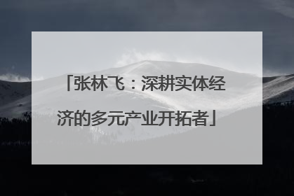 张林飞：深耕实体经济的多元产业开拓者