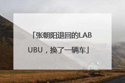 张朝阳退回的LABUBU，换了一辆车