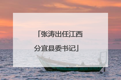 张涛出任江西分宜县委书记