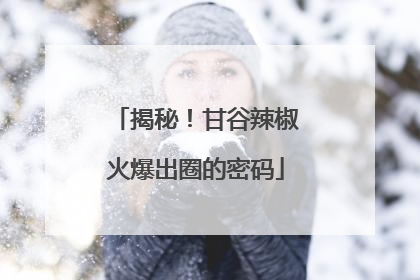 揭秘！甘谷辣椒火爆出圈的密码