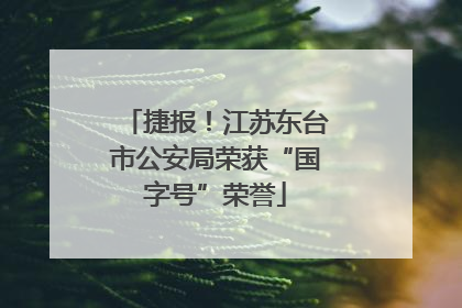 捷报！江苏东台市公安局荣获“国字号”荣誉