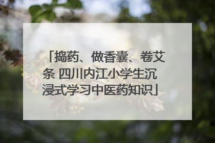 捣药、做香囊、卷艾条 四川内江小学生沉浸式学习中医药知识