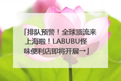 排队预警！全球顶流来上海啦！LABUBU怪味便利店即将开展→