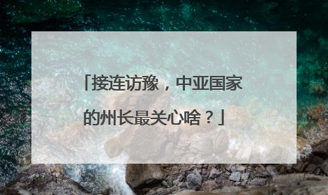 接连访豫，中亚国家的州长最关心啥？