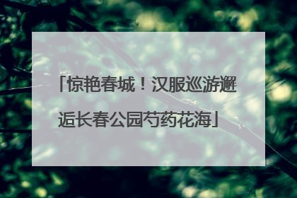 惊艳春城！汉服巡游邂逅长春公园芍药花海