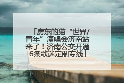 房东的猫“世界/青年”演唱会济南站来了！济南公交开通6条歌迷定制专线