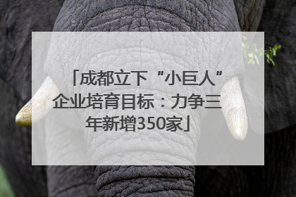 成都立下“小巨人”企业培育目标：力争三年新增350家