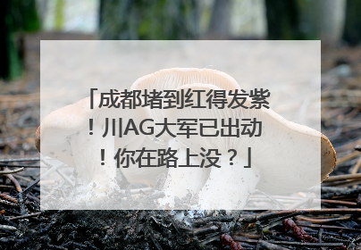 成都堵到红得发紫！川AG大军已出动！你在路上没？