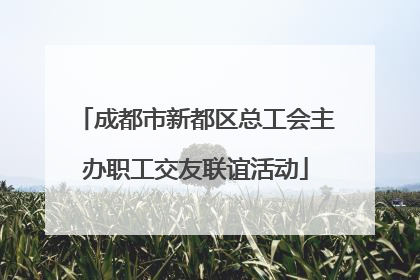 成都市新都区总工会主办职工交友联谊活动