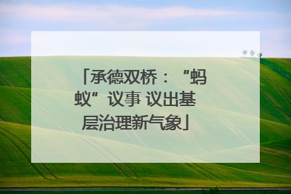 承德双桥：“蚂蚁”议事 议出基层治理新气象