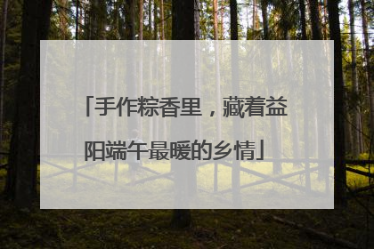 手作粽香里，藏着益阳端午最暖的乡情