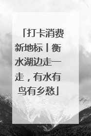 打卡消费新地标丨衡水湖边走一走，有水有鸟有乡愁