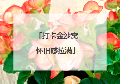 打卡金沙窝 怀旧感拉满
