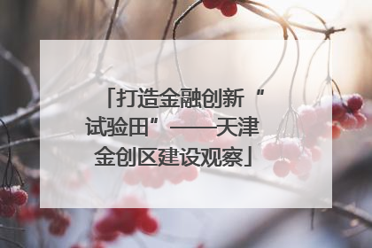 打造金融创新“试验田”——天津金创区建设观察