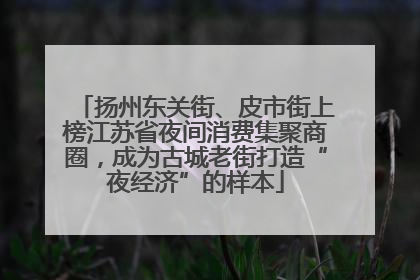 扬州东关街、皮市街上榜江苏省夜间消费集聚商圈，成为古城老街打造“夜经济”的样本