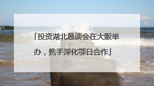 投资湖北恳谈会在大阪举办，携手深化鄂日合作